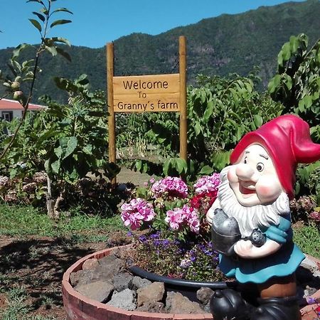 São Vicente Granny'S Farm 게스트하우스 외부 사진