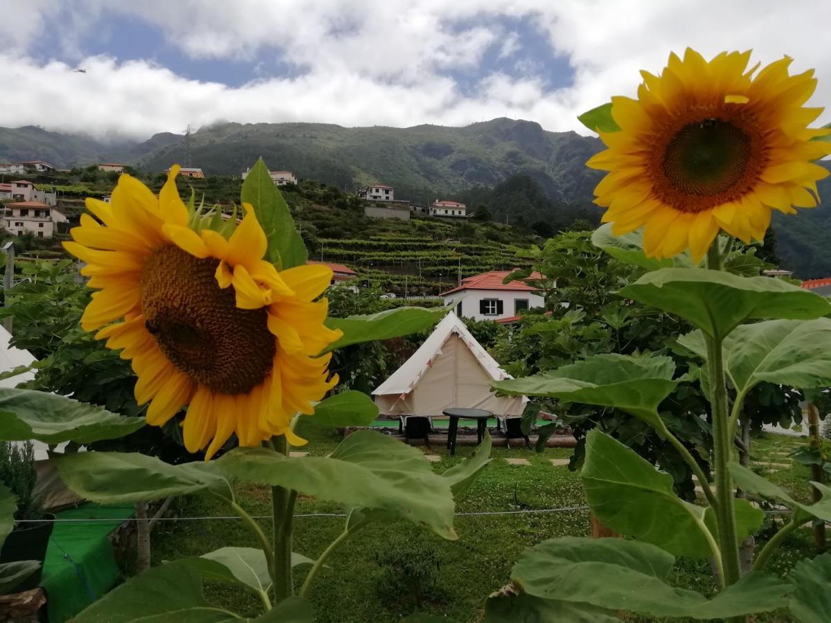 São Vicente Granny'S Farm 게스트하우스 외부 사진