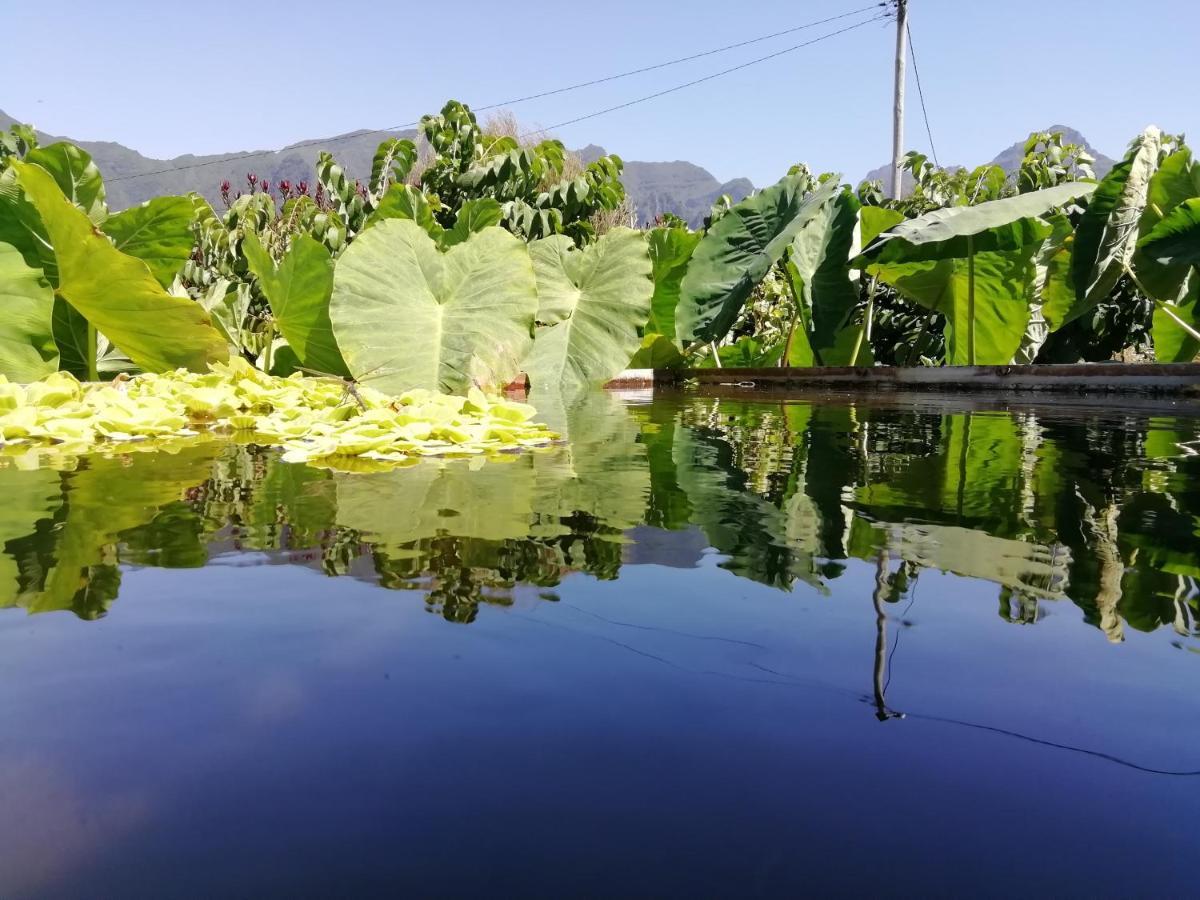 São Vicente Granny'S Farm 게스트하우스 외부 사진