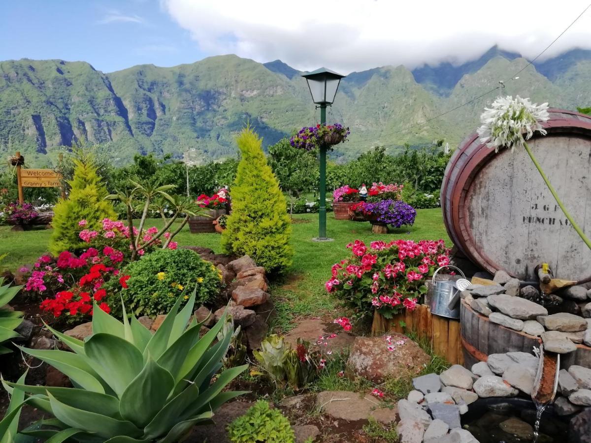 São Vicente Granny'S Farm 게스트하우스 외부 사진
