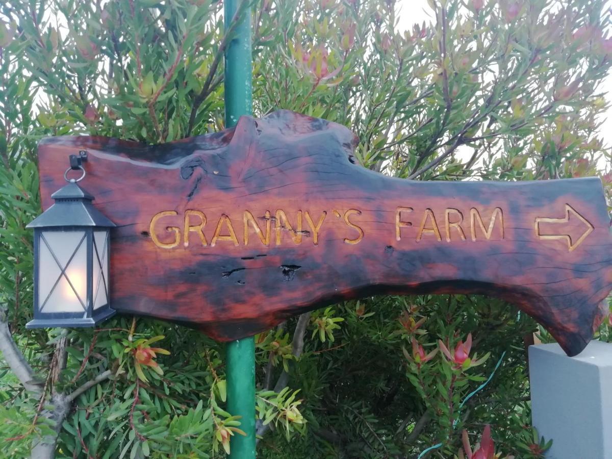 São Vicente Granny'S Farm 게스트하우스 외부 사진