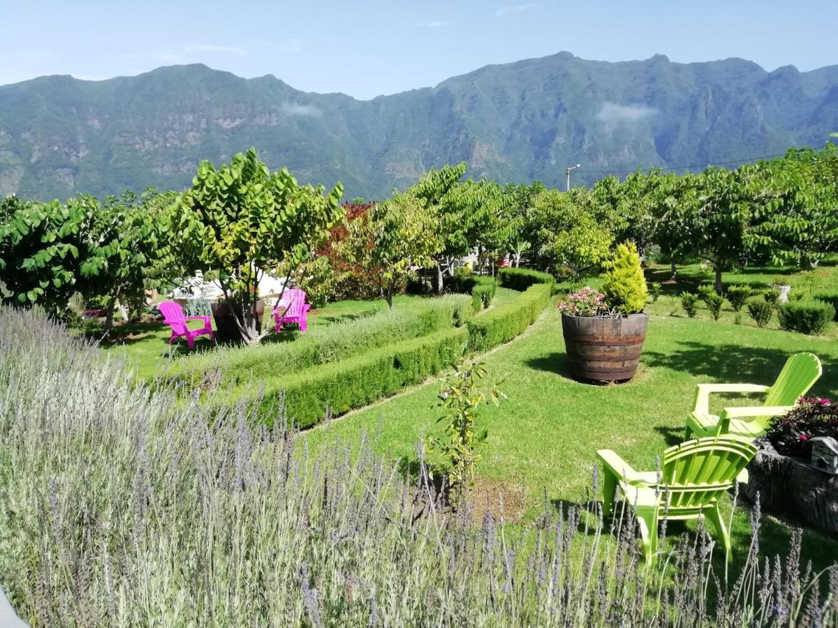 São Vicente Granny'S Farm 게스트하우스 외부 사진