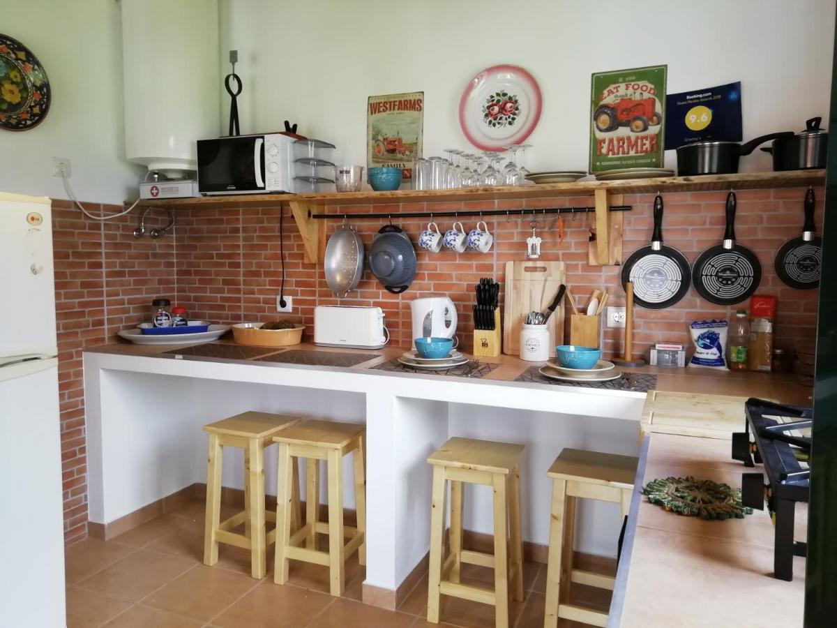 São Vicente Granny'S Farm 게스트하우스 외부 사진