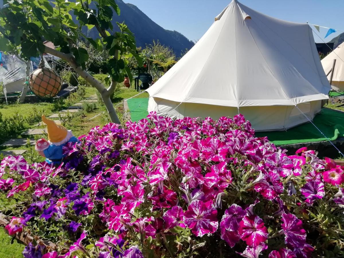 São Vicente Granny'S Farm 게스트하우스 외부 사진