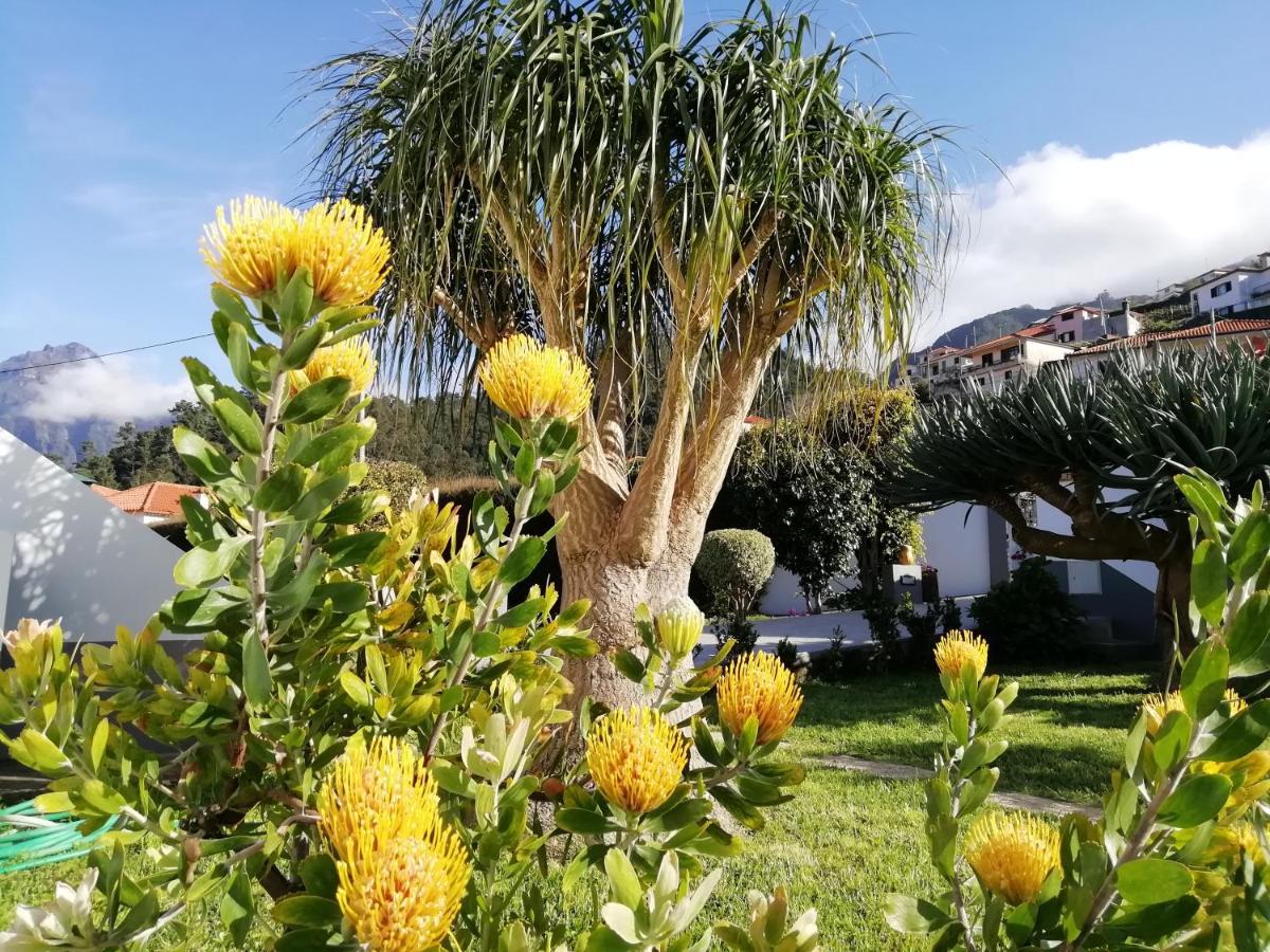São Vicente Granny'S Farm 게스트하우스 외부 사진