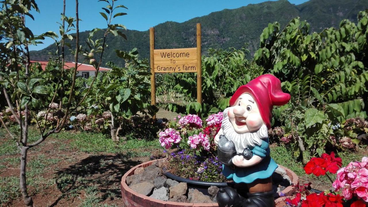 São Vicente Granny'S Farm 게스트하우스 외부 사진
