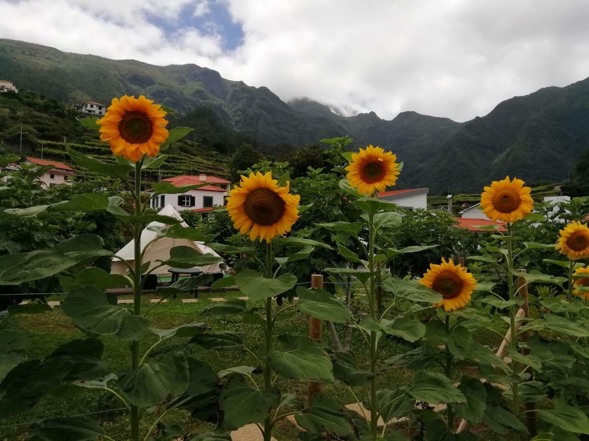São Vicente Granny'S Farm 게스트하우스 외부 사진