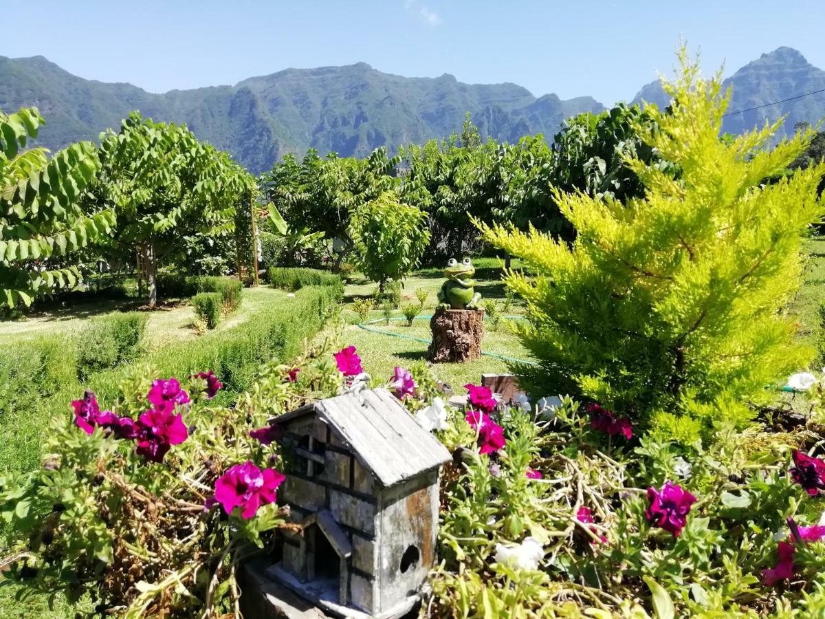 São Vicente Granny'S Farm 게스트하우스 외부 사진