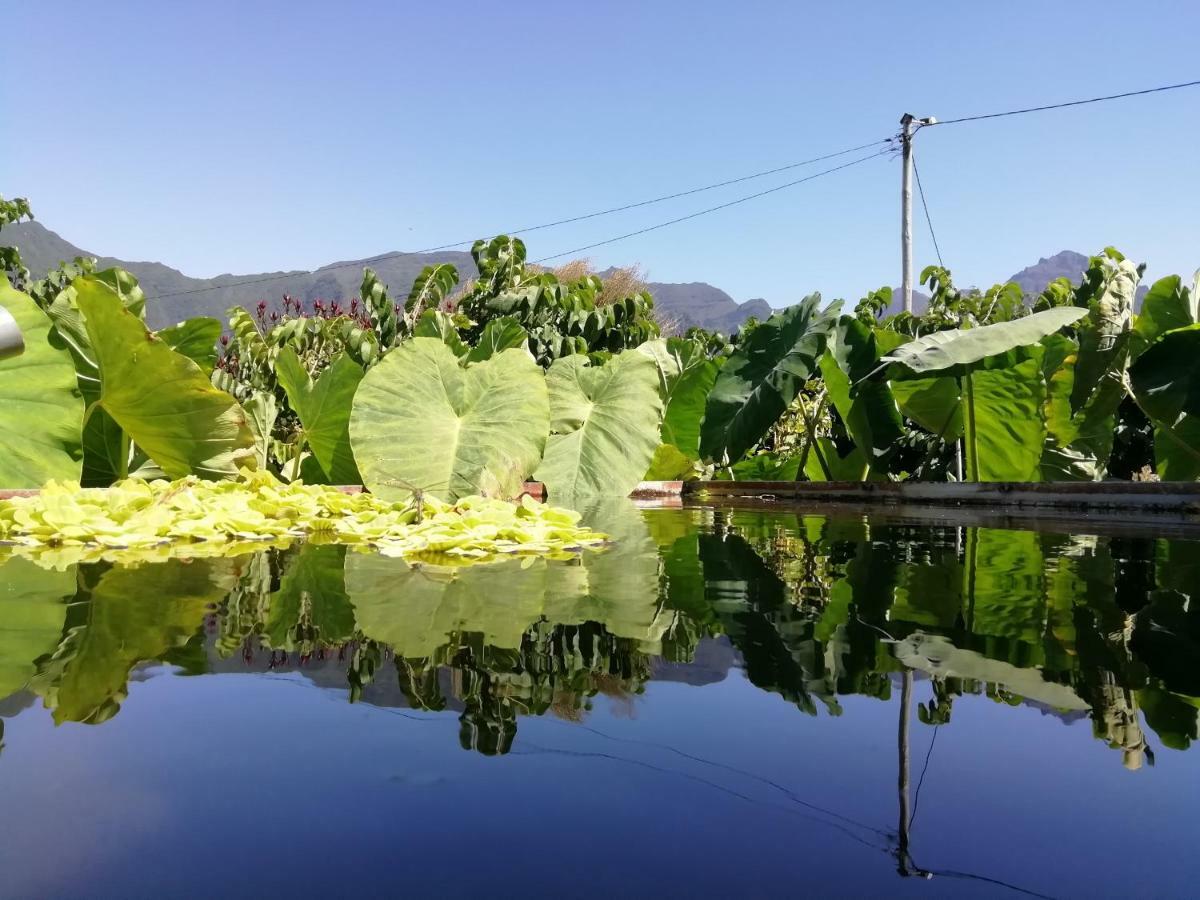 São Vicente Granny'S Farm 게스트하우스 외부 사진