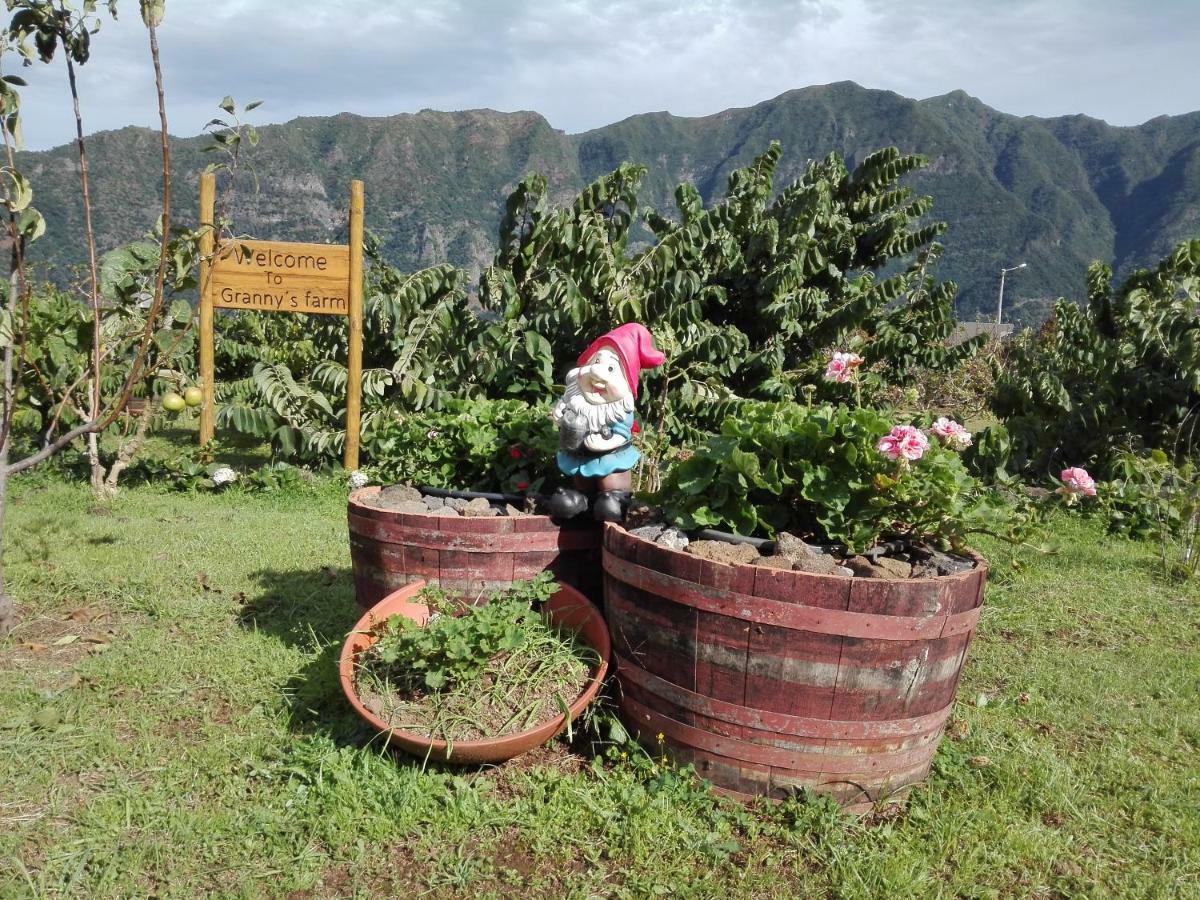 São Vicente Granny'S Farm 게스트하우스 외부 사진