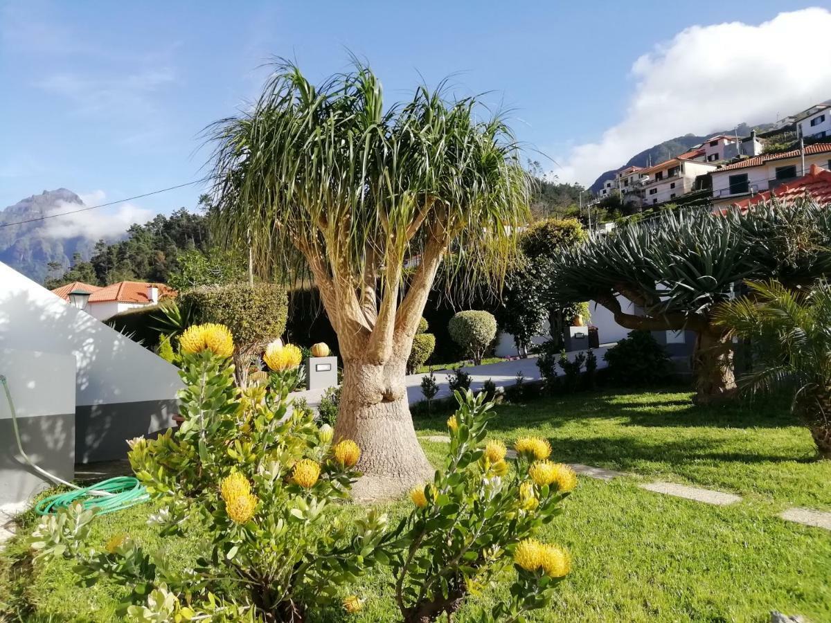 São Vicente Granny'S Farm 게스트하우스 외부 사진