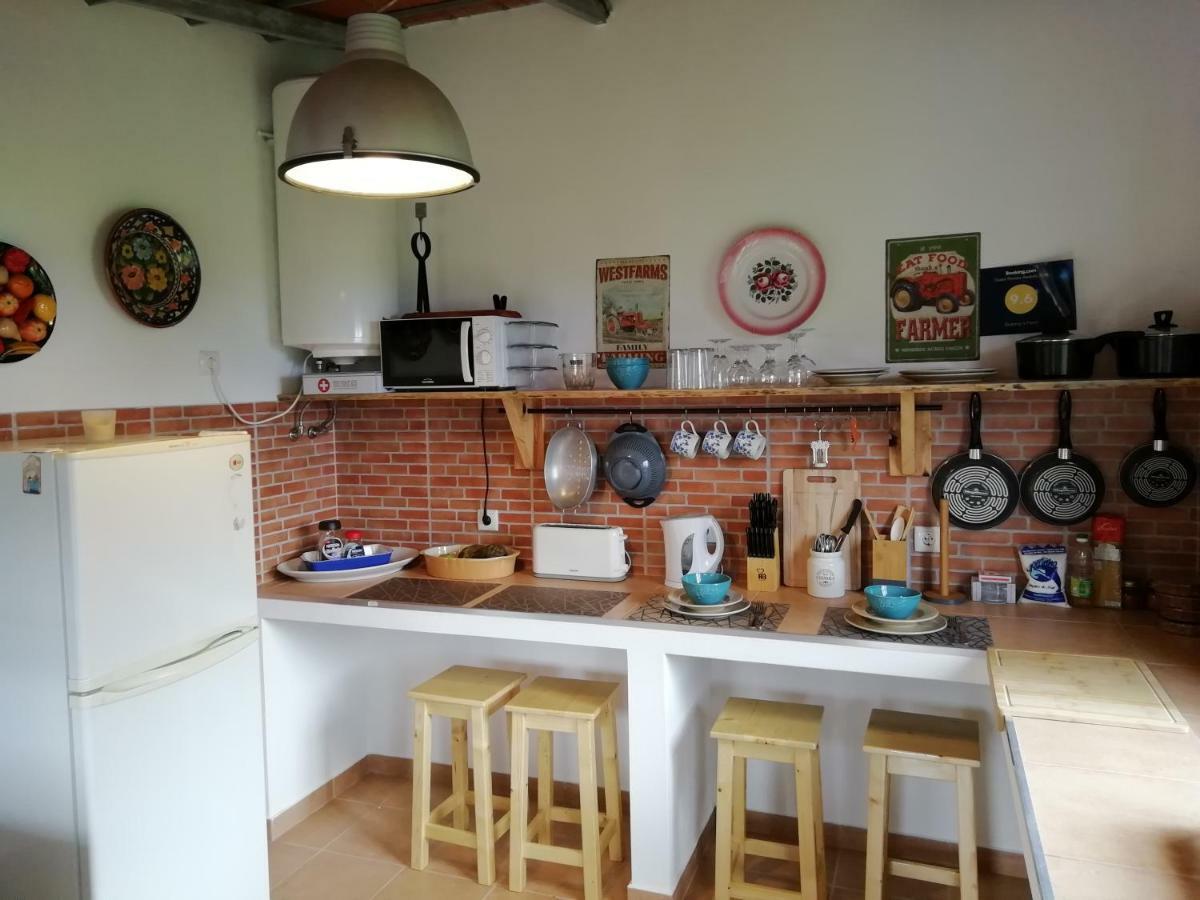 São Vicente Granny'S Farm 게스트하우스 외부 사진